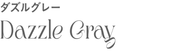 Dazzle Gray