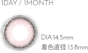 1DAY DIA14.5mm 着色直径13.8mm