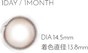 1DAY DIA14.5mm 着色直径13.8mm